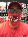 Louisiana Ragin Cajuns Wordmark Fan Mask One Size Fits Most NEW!